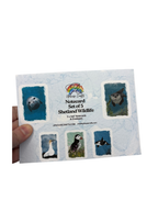 Wholesale | Greetings Card | Shetland Wildlife - Set of 5 Notecards (BOX OF 10)