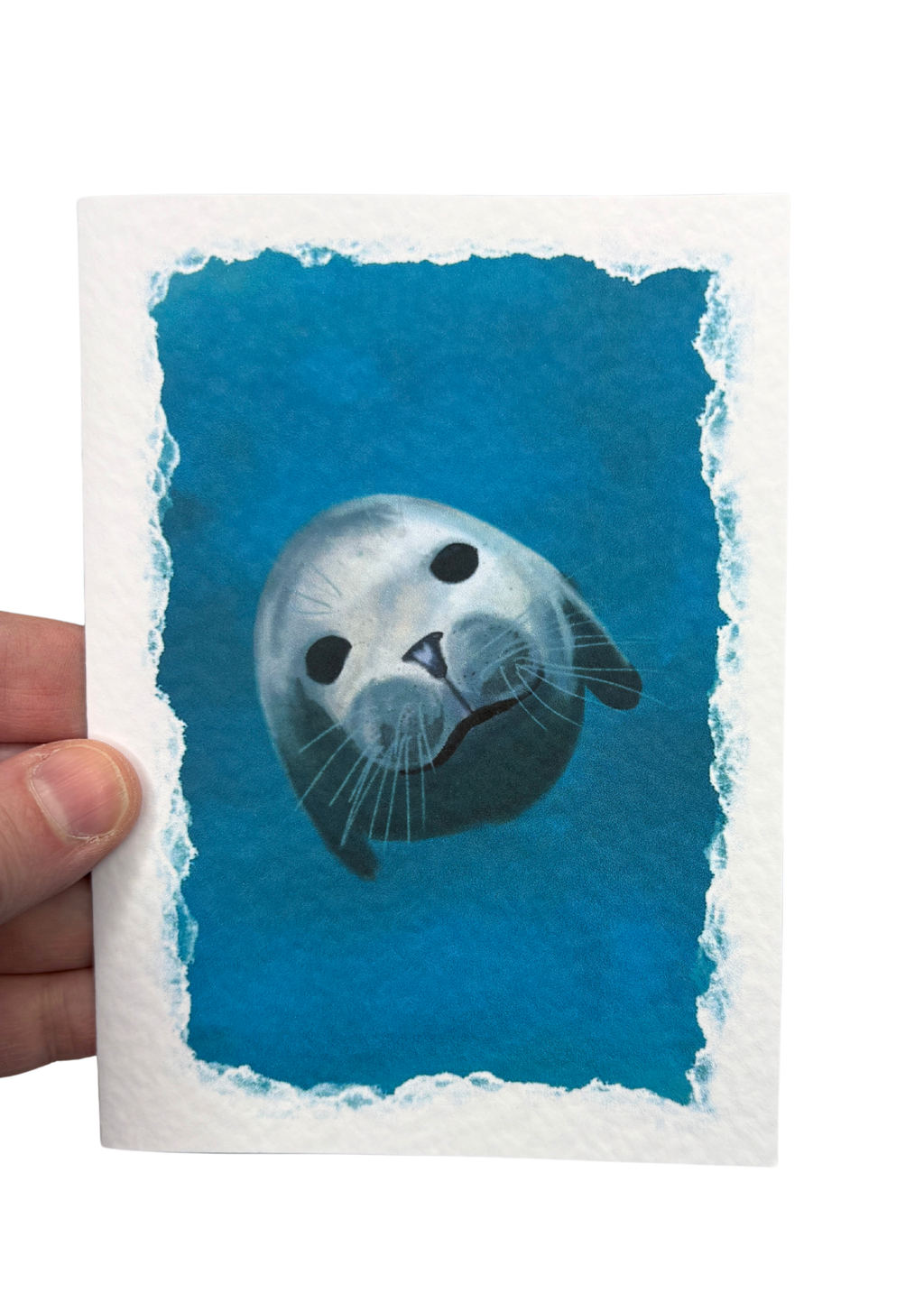 Wholesale | Greetings Card | Shetland Wildlife - Set of 5 Notecards (BOX OF 10)