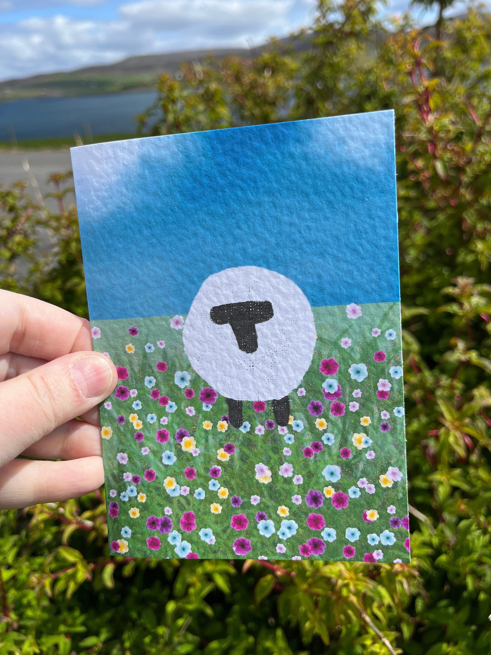 Greetings Card | Shetland - Set of 6 Sheep Notecards | Blue & Teal - Uphouse Crafts
