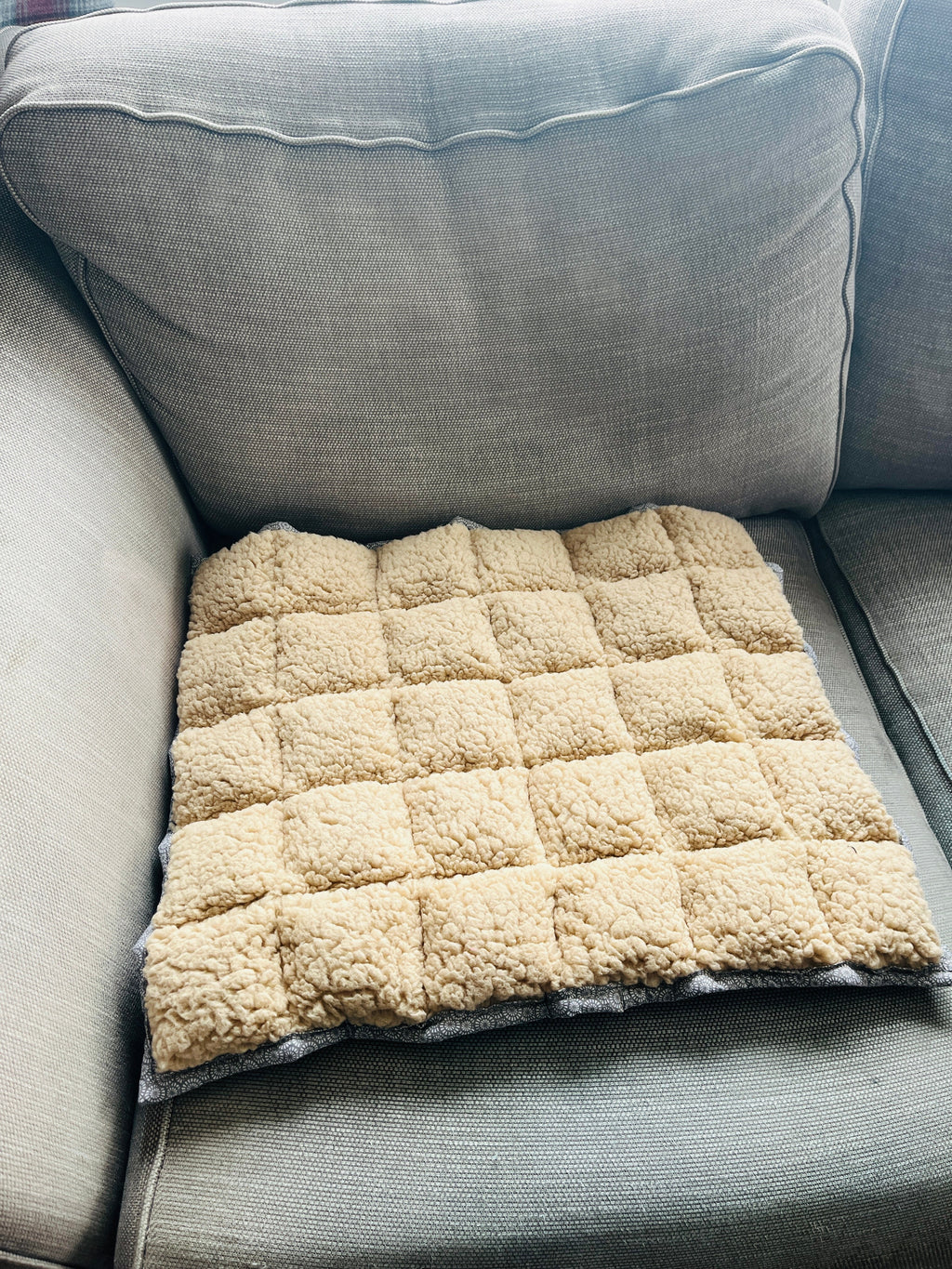 Pet Bubble Blanket - Uphouse Crafts