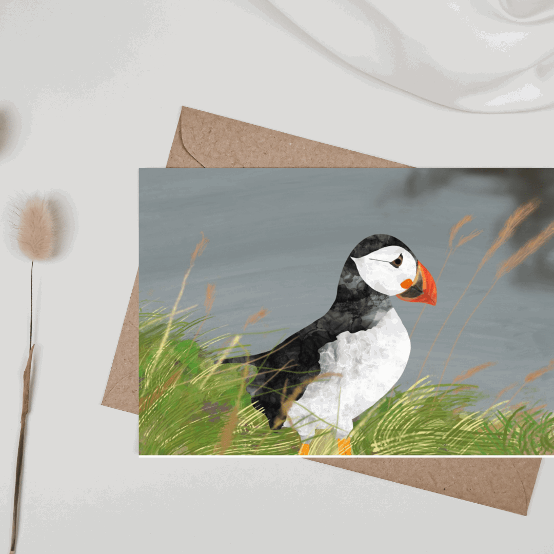 Greetings Card | Puffin - Set of 5 Notecards